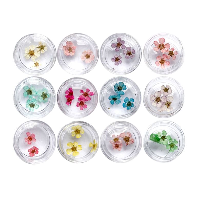 12pc Multicoloured Dry Flowers